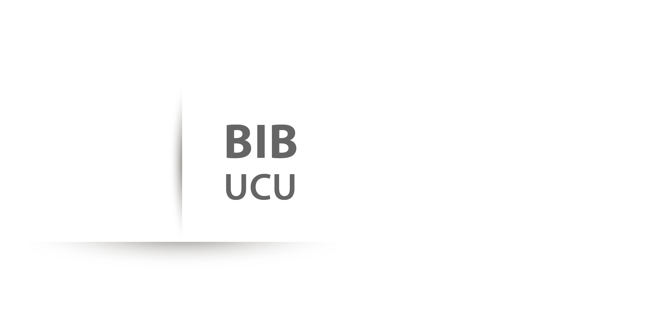 Universidad de Concepción del Uruguay